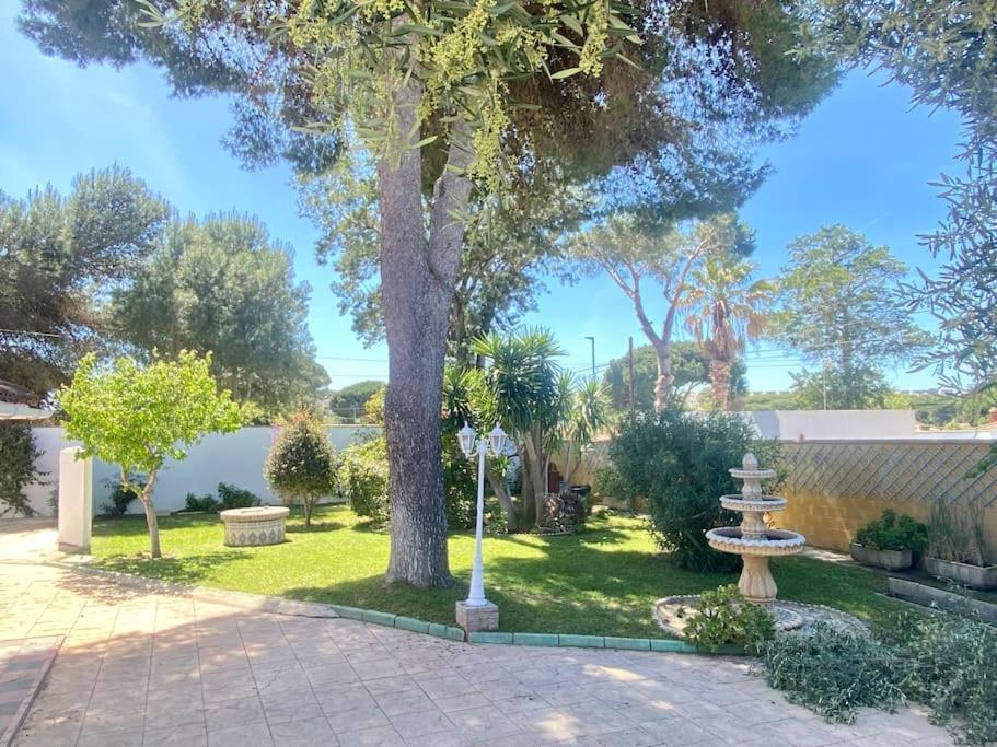 Marisma Home チクラナ・デ・ラ・フロンテーラ エクステリア 写真